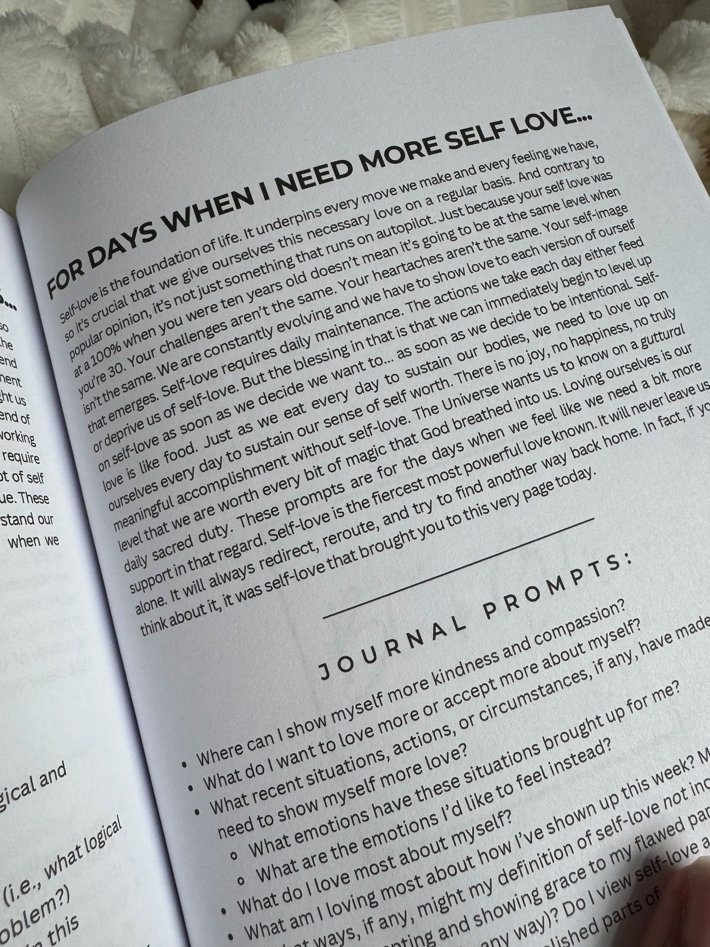 Guided Mood Journal (paperback)