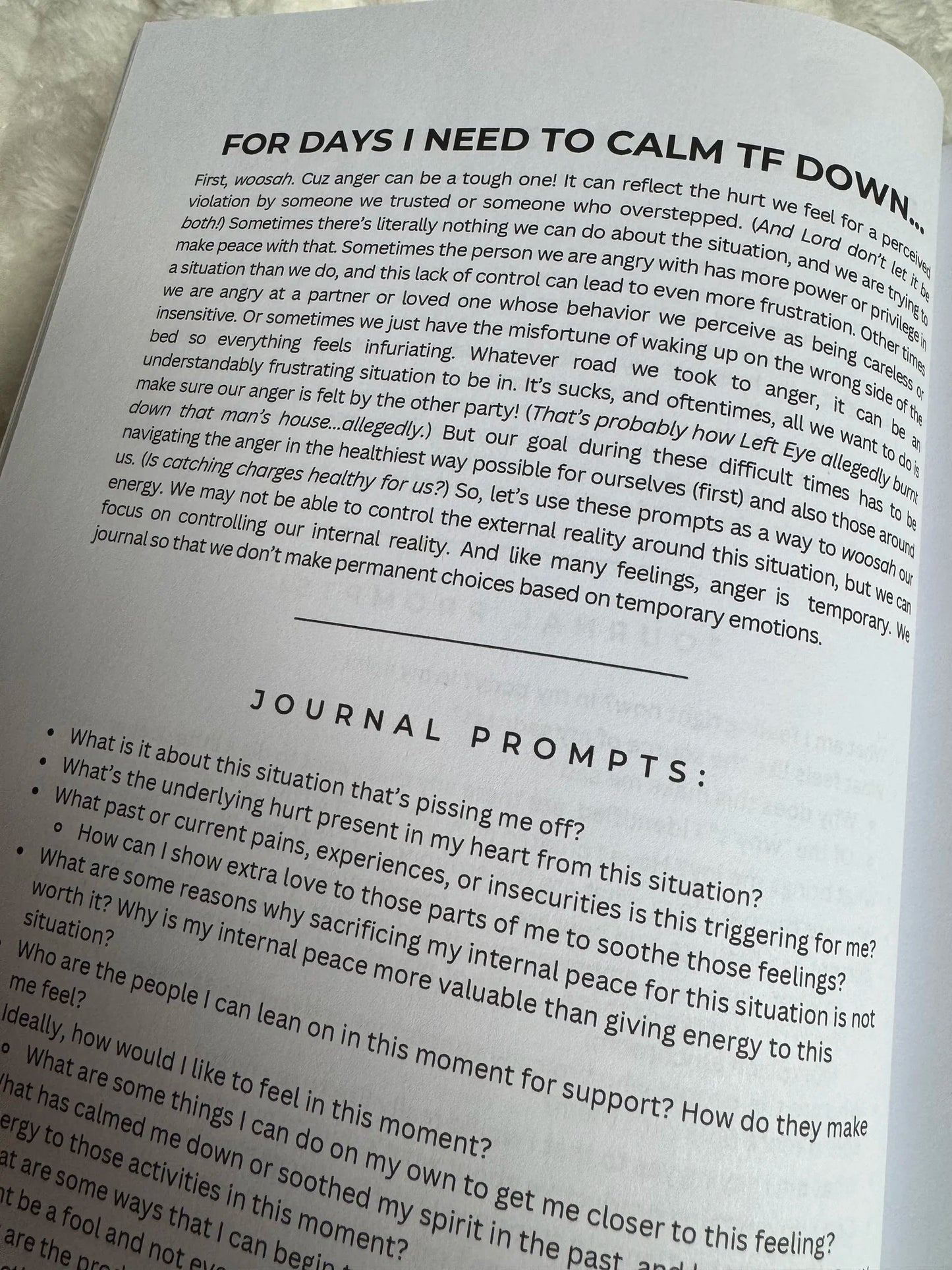 Guided Mood Journal (paperback)