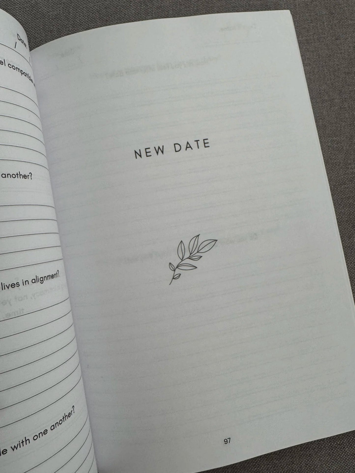 The Dating Journal (paperback)